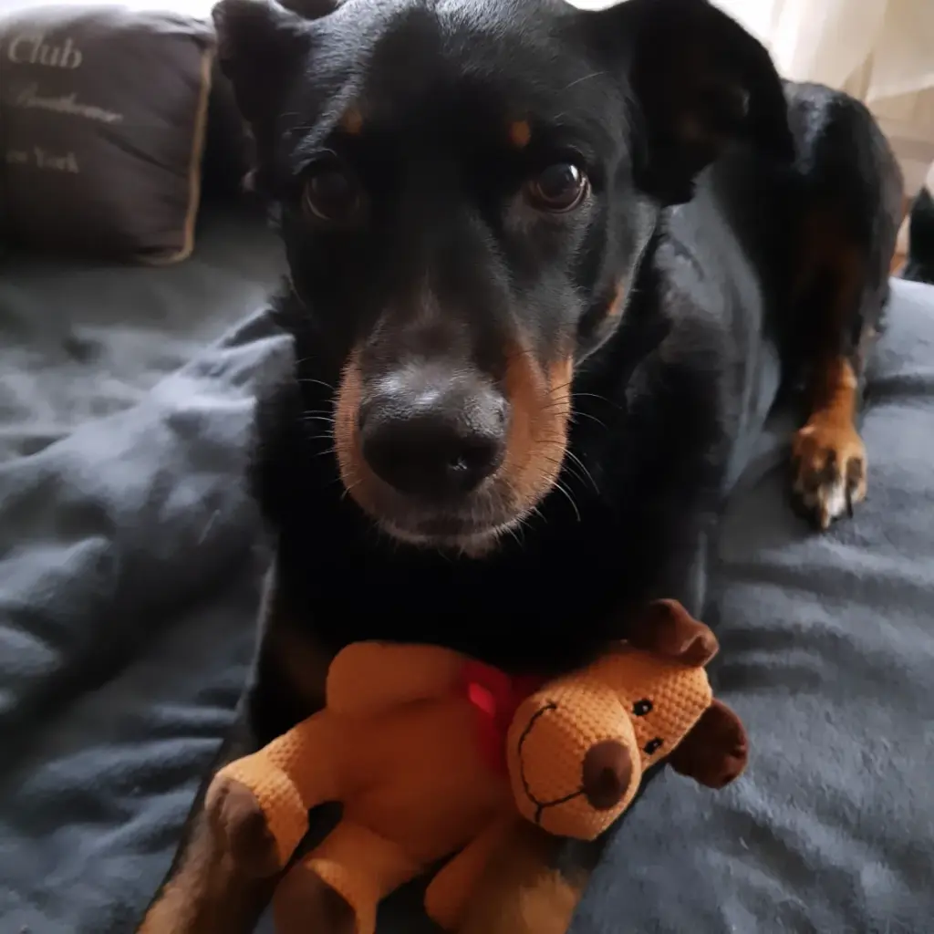 Bild von Tia