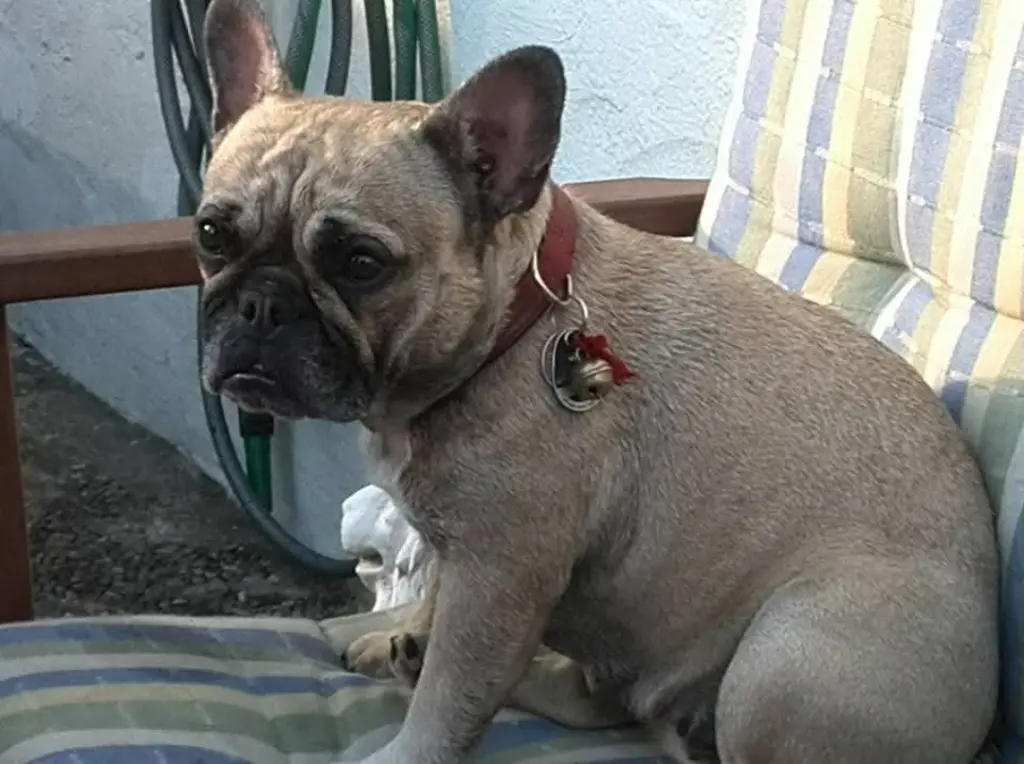 Bild von Kira