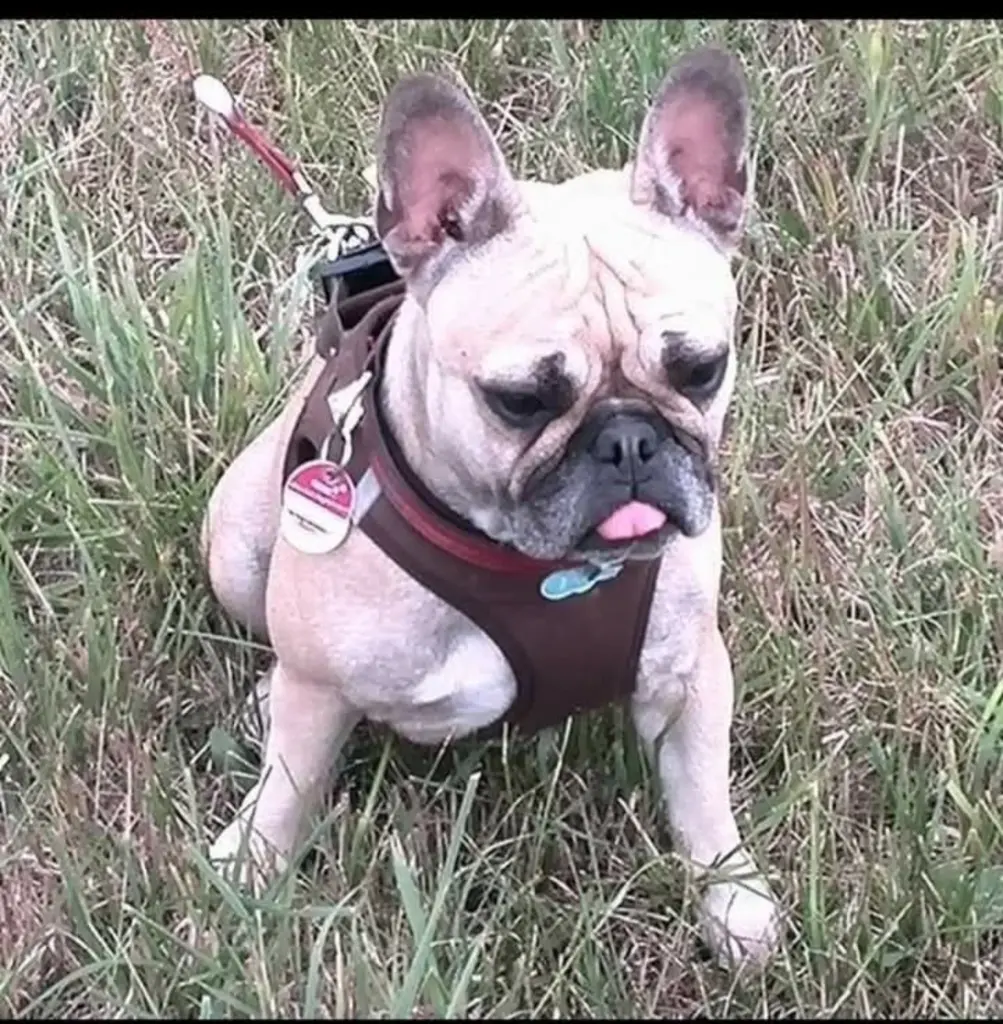 Bild von Kira