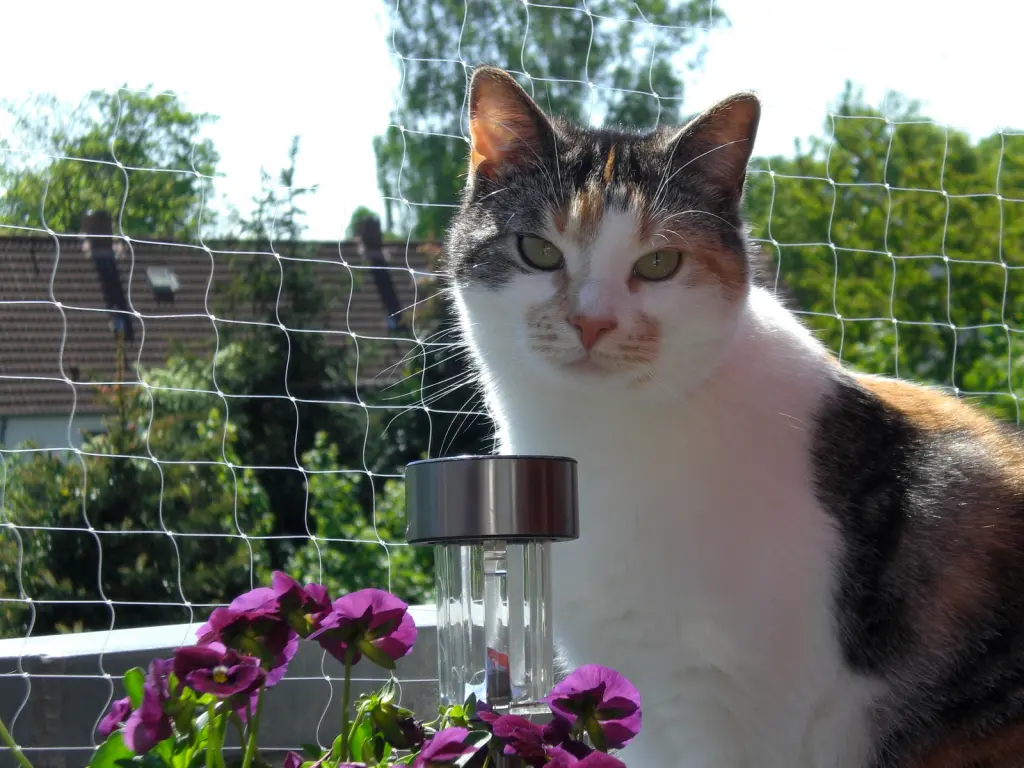 Bild von Jonesy