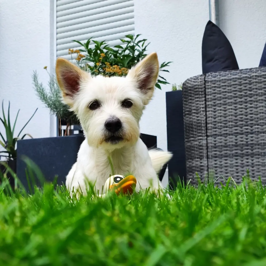 Andachtsbild von Ines & Jelena