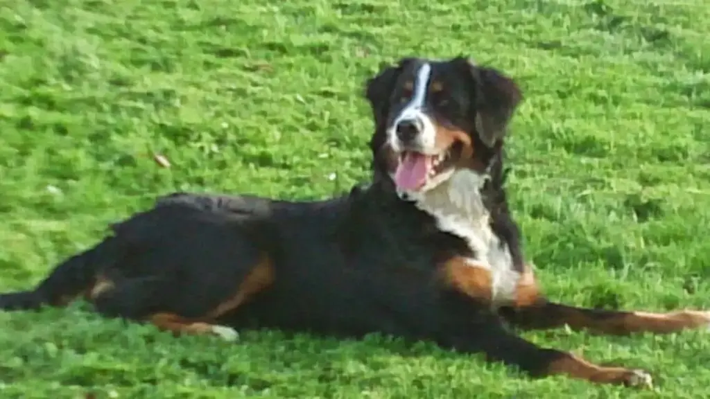 Bild von Emma