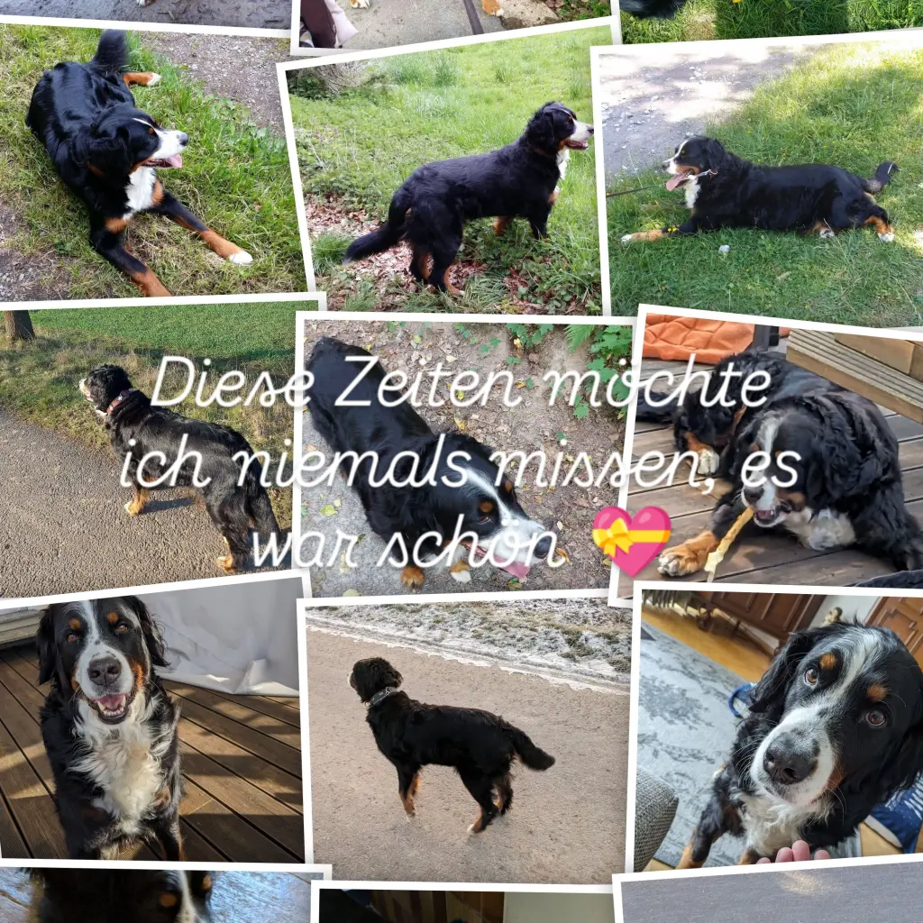 Bild von Emma