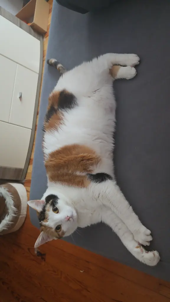 Bild von Filou