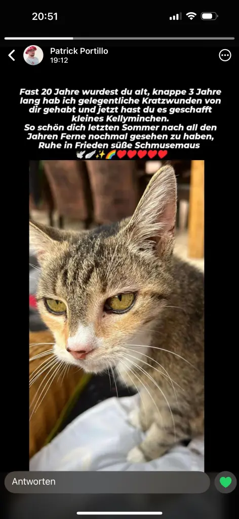 Bild von Kelly