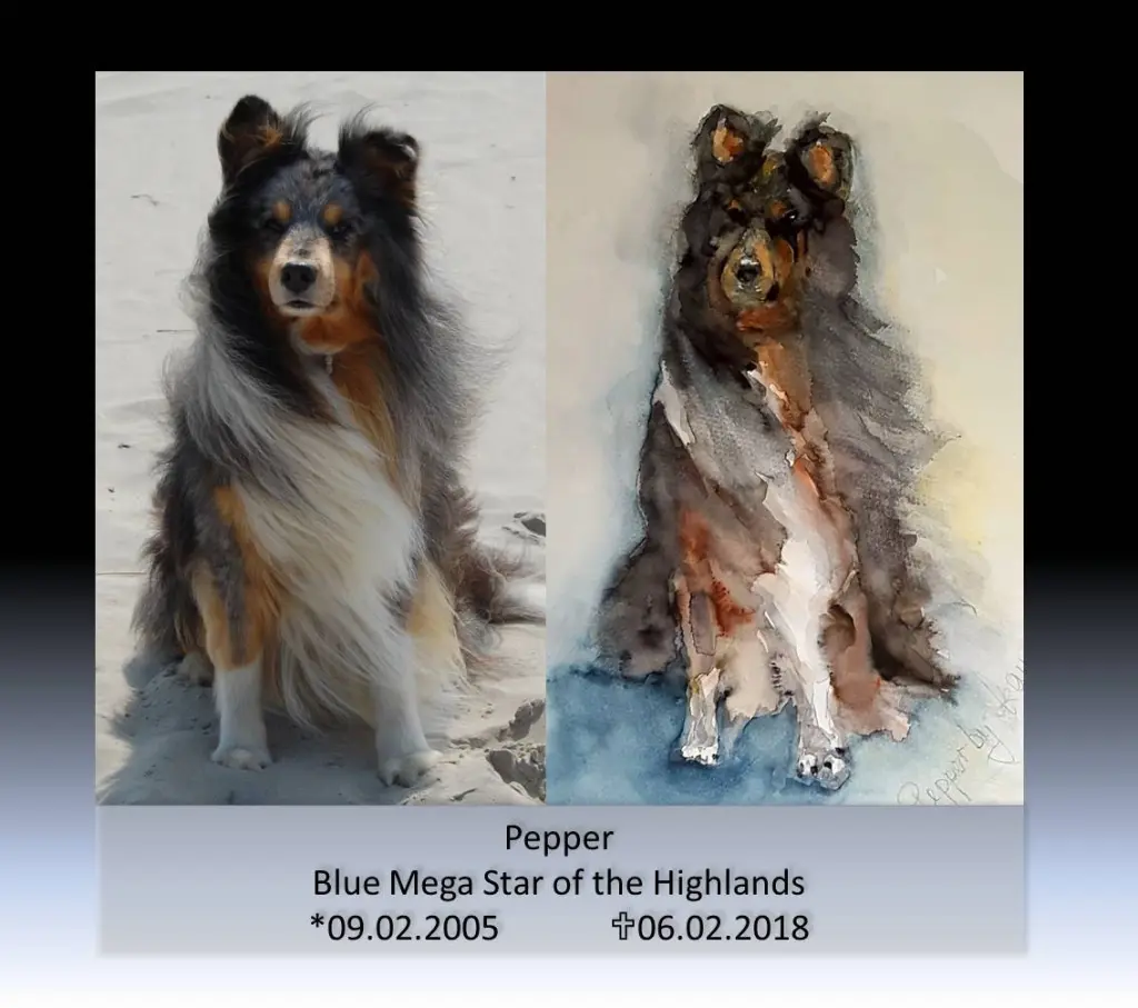 Image from Pepper