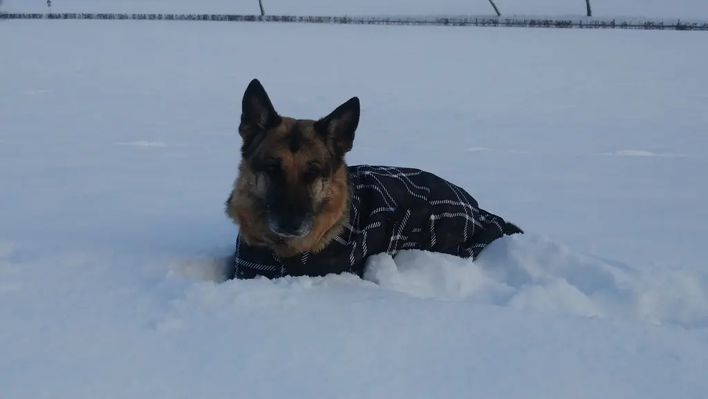 Andachtsbild von Rainer mit Stella aus Sundern