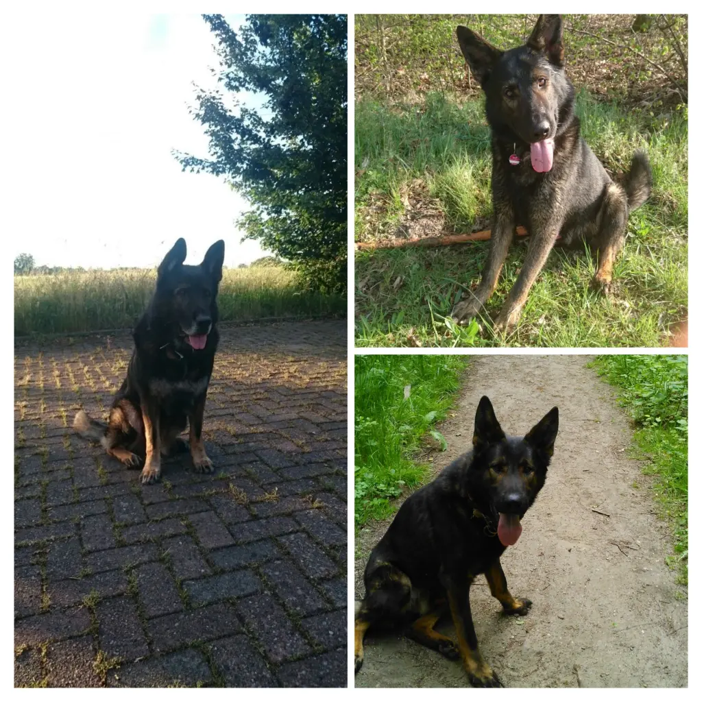 Bild von Kieran