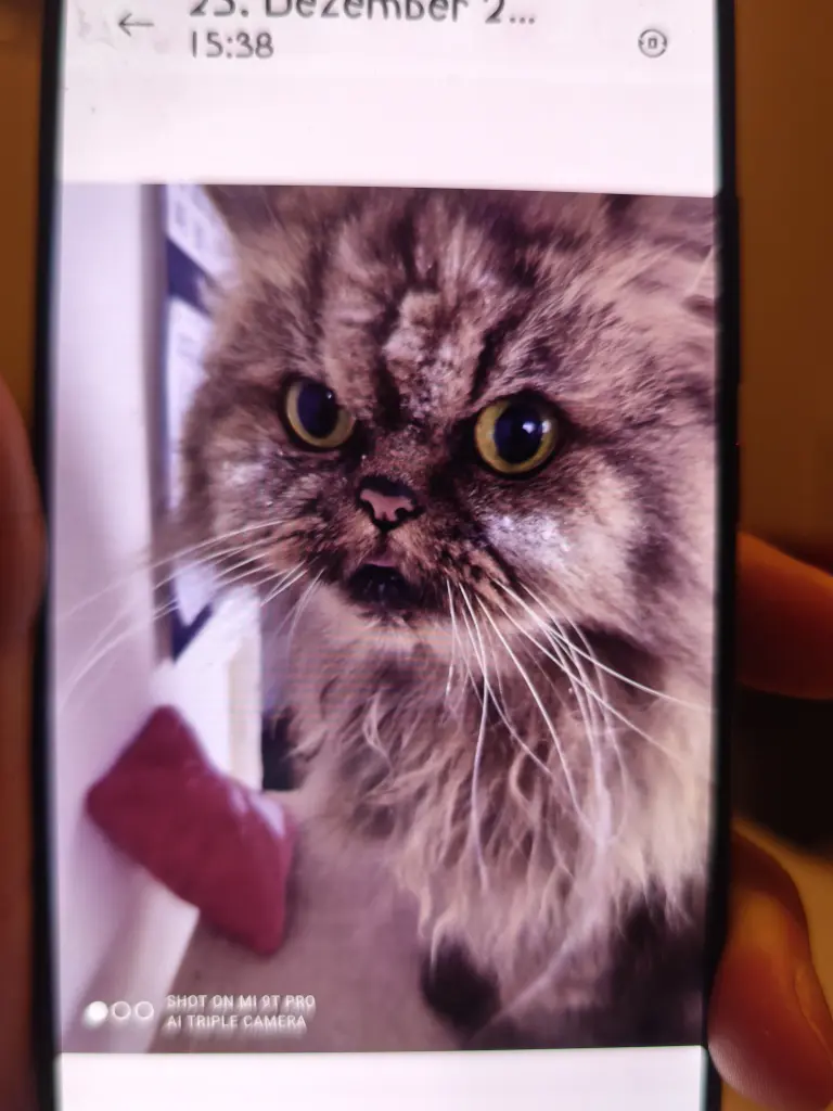 Andachtsbild von Anja Paris