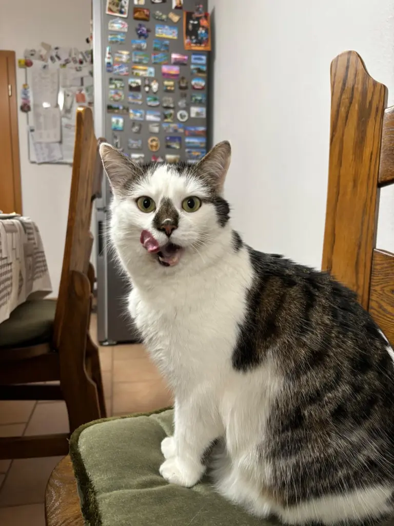 Bild von Odin