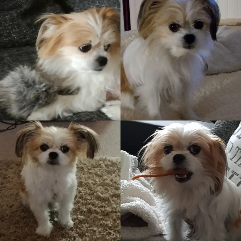 ❤️❤️❤️❤️