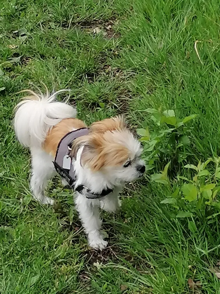 Spaziergänge so toll