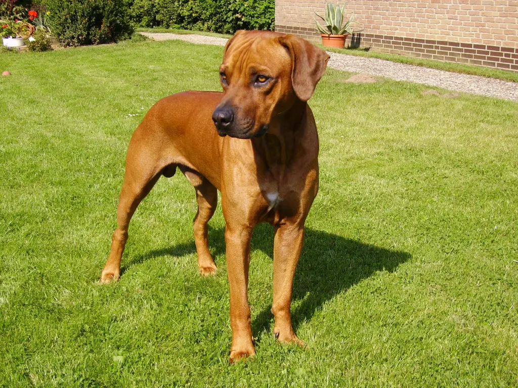 Condolence image of Britta