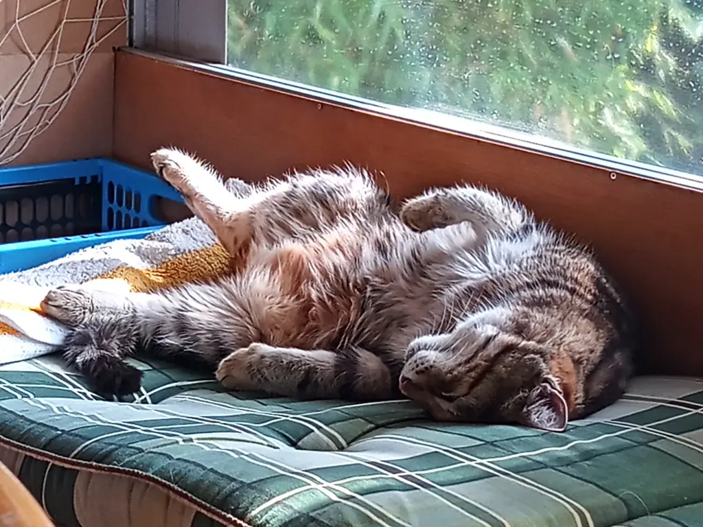 Perfekte Schlafposition