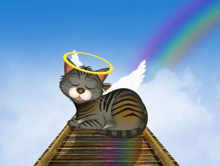 Condolence image of Emily
