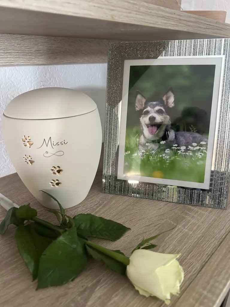 Bild von Missi