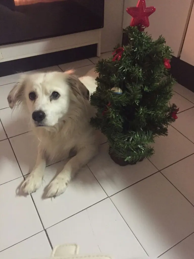 Image from Max (Mr Nappy)