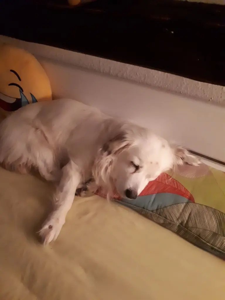 Image from Max (Mr Nappy)