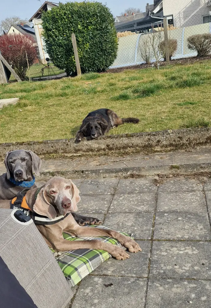 Andachtsbild von Carmen