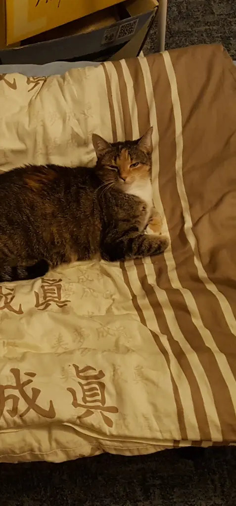 Andachtsbild von Yves Golm