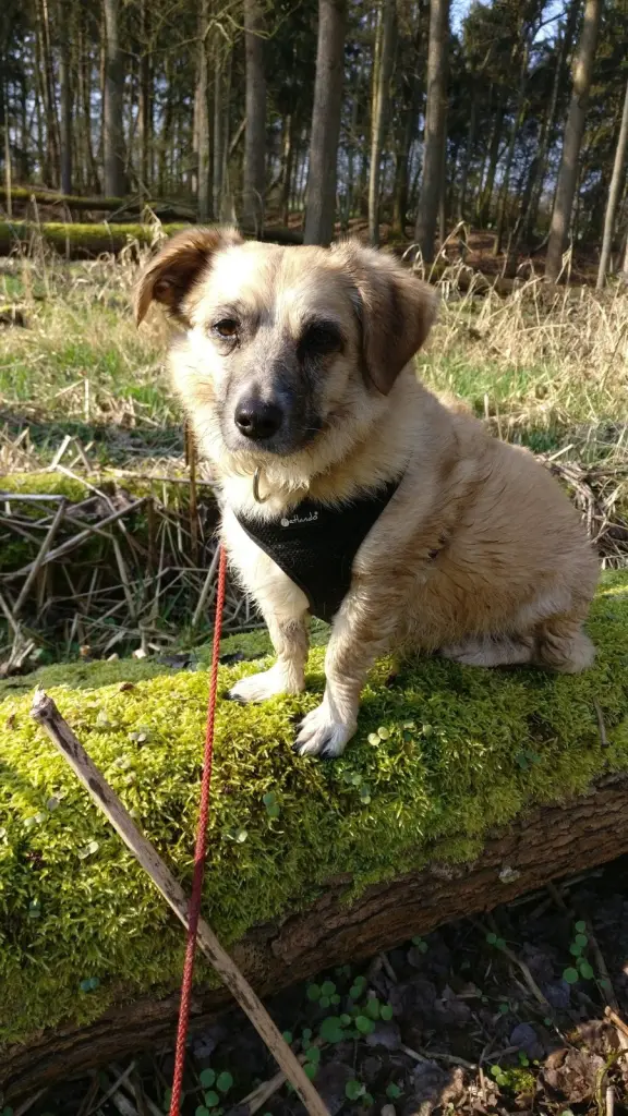 Andachtsbild von Yvonne und Leni