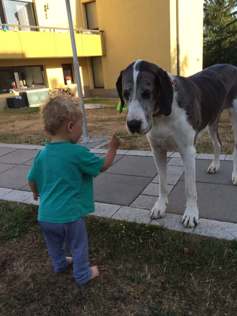 Condolence image of Esther mit Linu