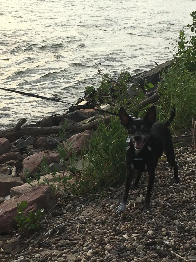 Condolence image of JJ