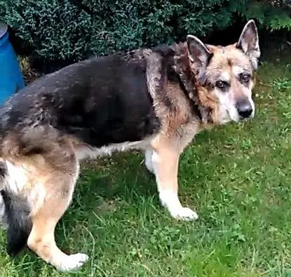 Condolence image of michael