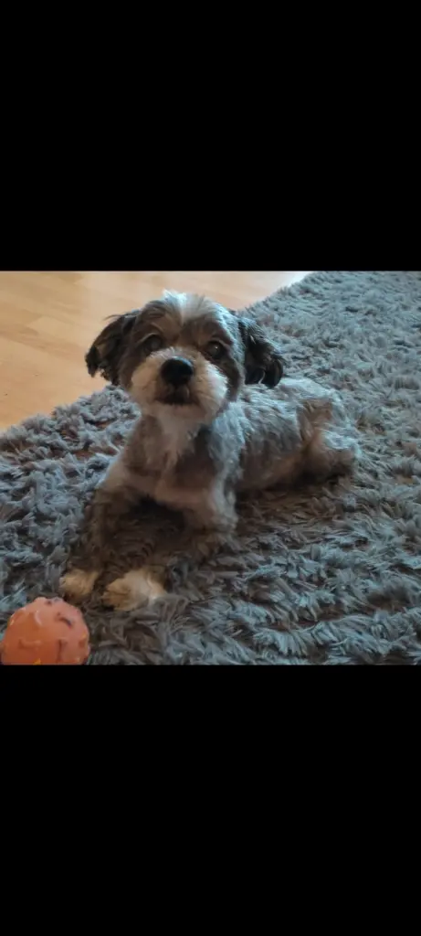 Bild von Pixxie