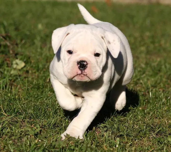 Mein kleiner Bär.So neugierig gewesen 🥰