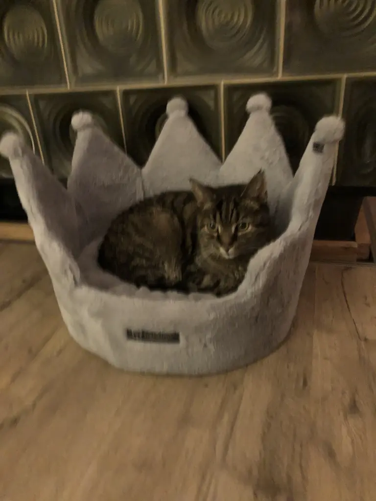 Für unseren Prinz