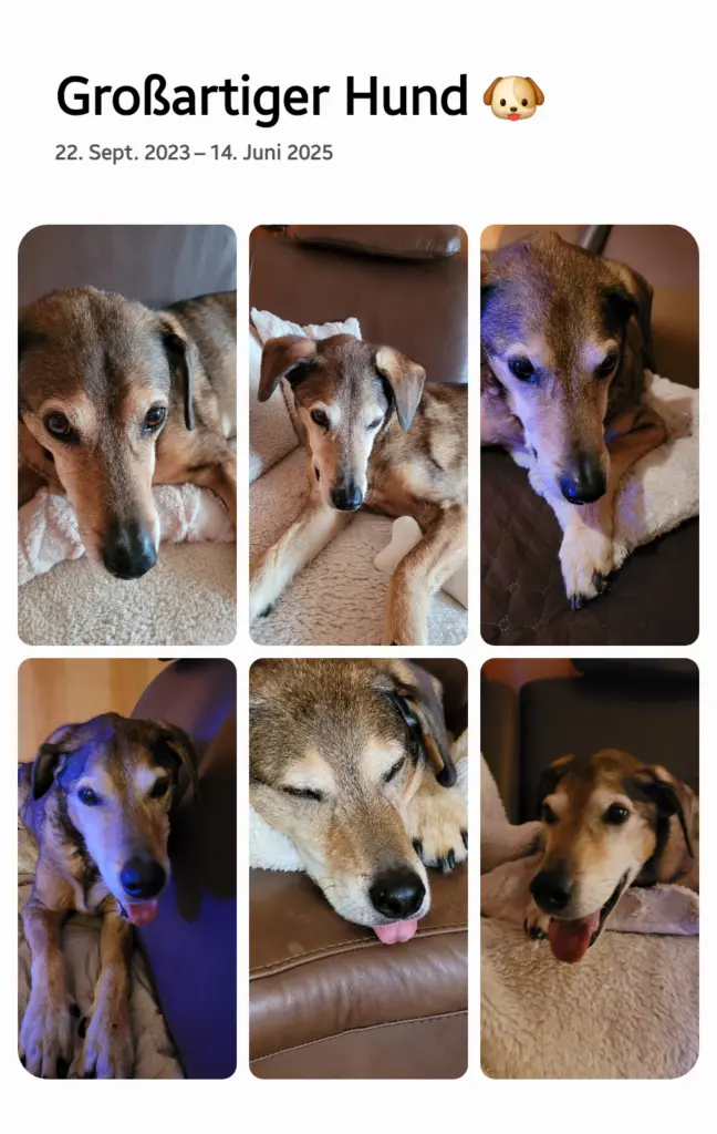 Bild von Murphy
