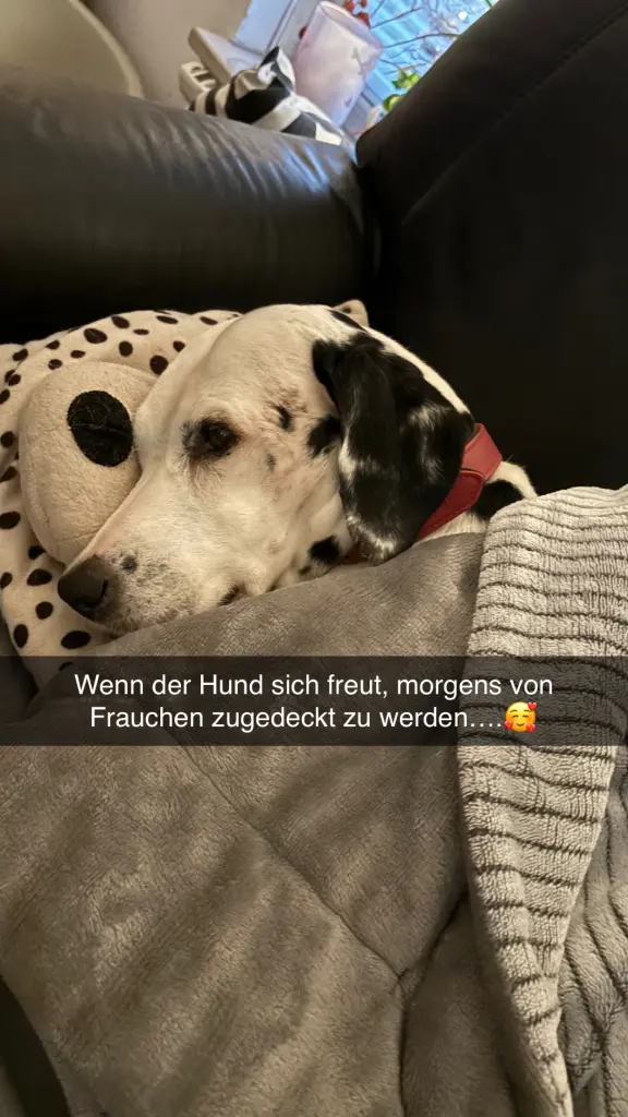 Prinzessin