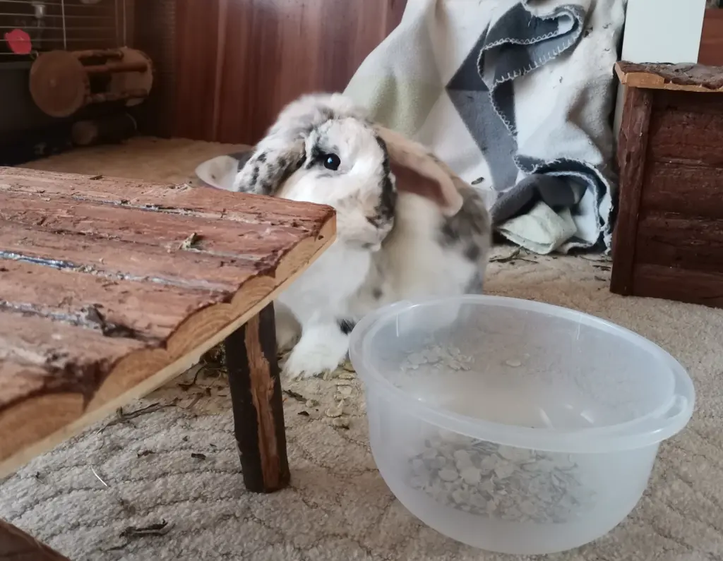 Andachtsbild von Claudi