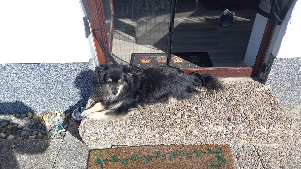 Andachtsbild von Marion labenz