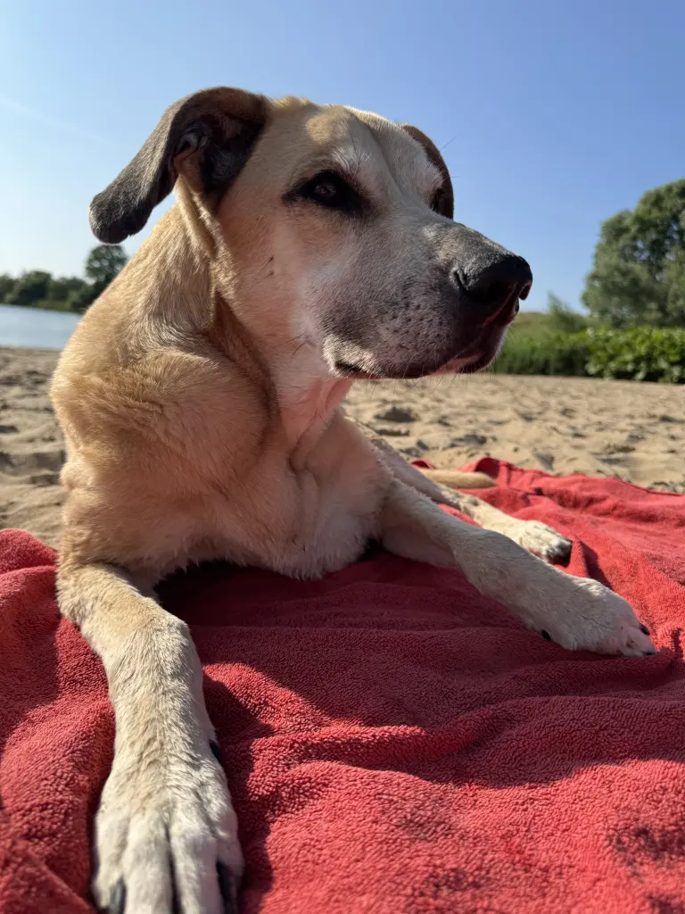 Andachtsbild von Ines Amieiro