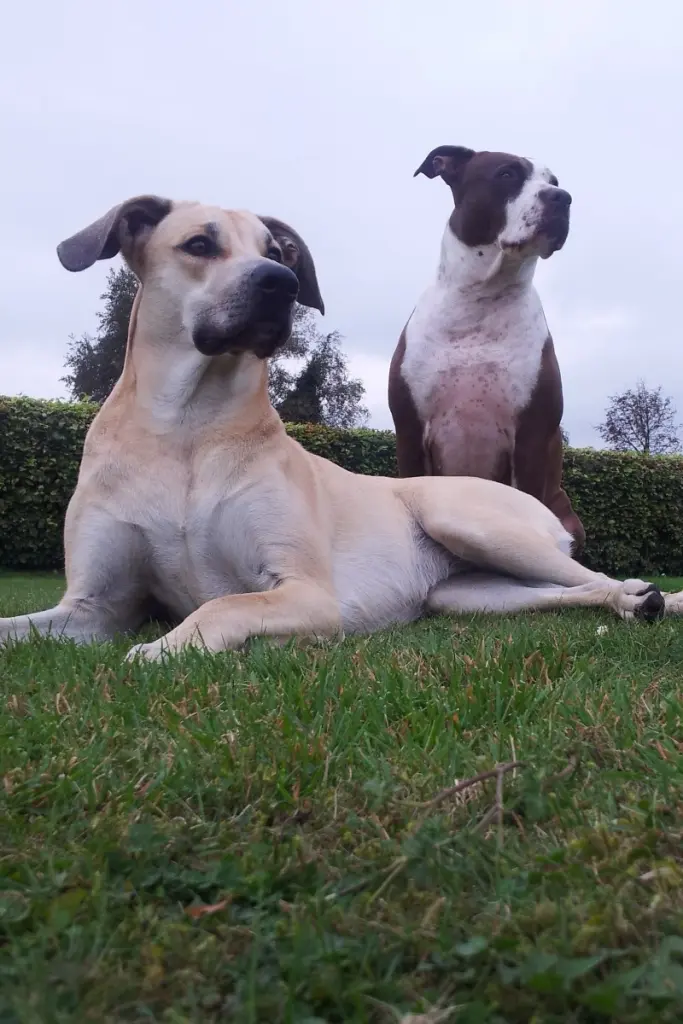 Andachtsbild von Ines Amieiro