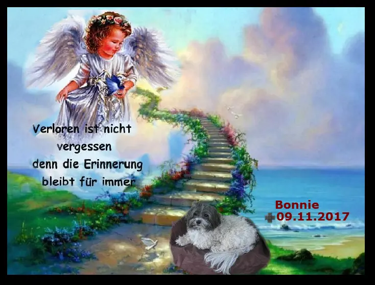 Condolence image of Anne (mit Casimir und Felix im Herzen)