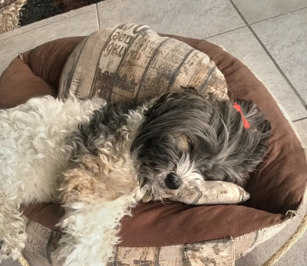 Image from Bonnie (Bonita Seniorita )