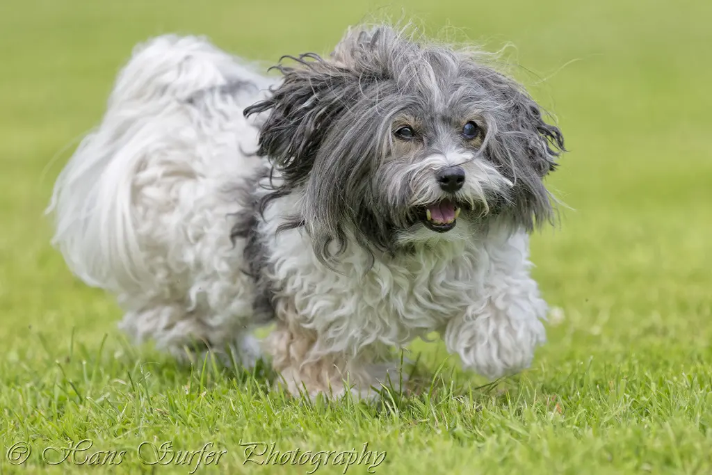Image from Bonnie (Bonita Seniorita )