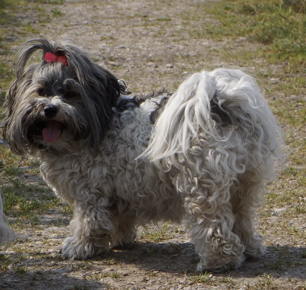 Image from Bonnie (Bonita Seniorita )