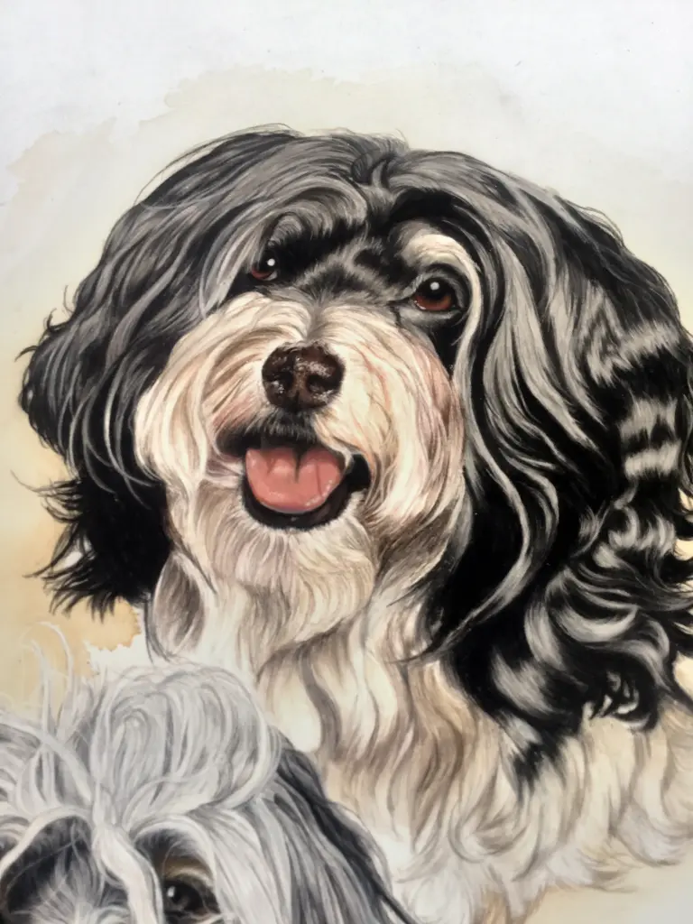 Image from Charly (Charly - Quinn)