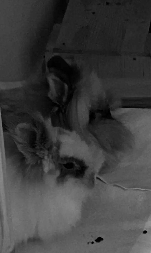 Andachtsbild von Katrin mit Eric und Trude