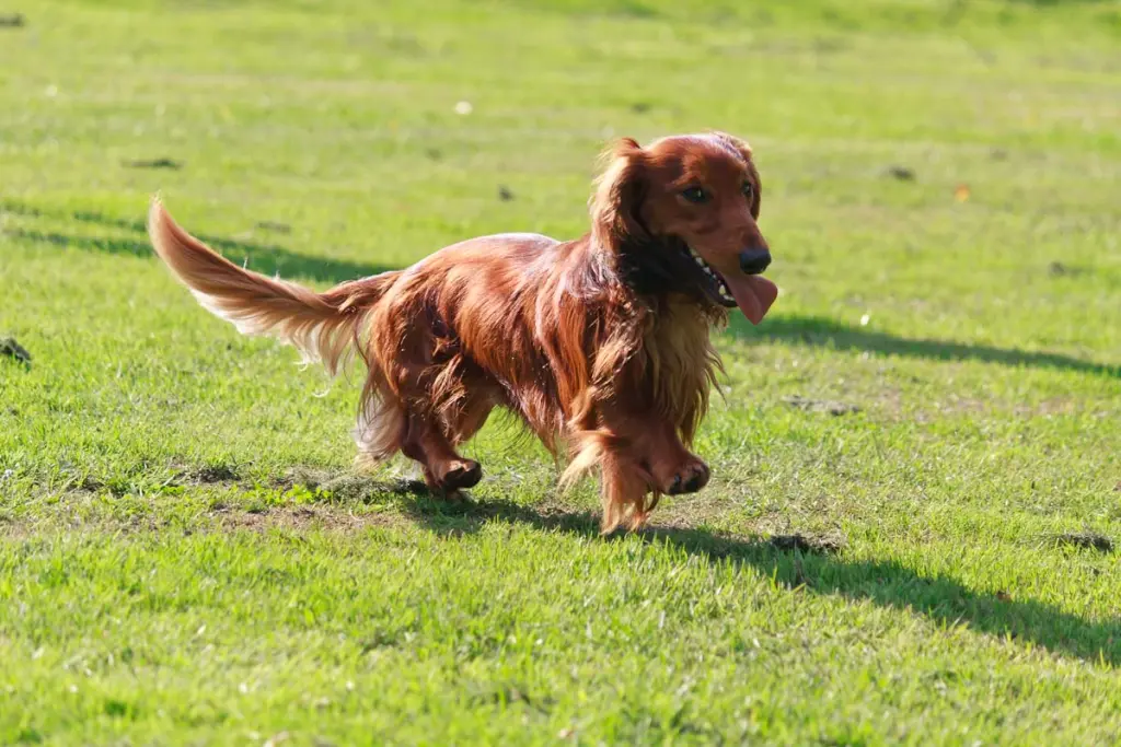 auf zum nächsten Schabernack...