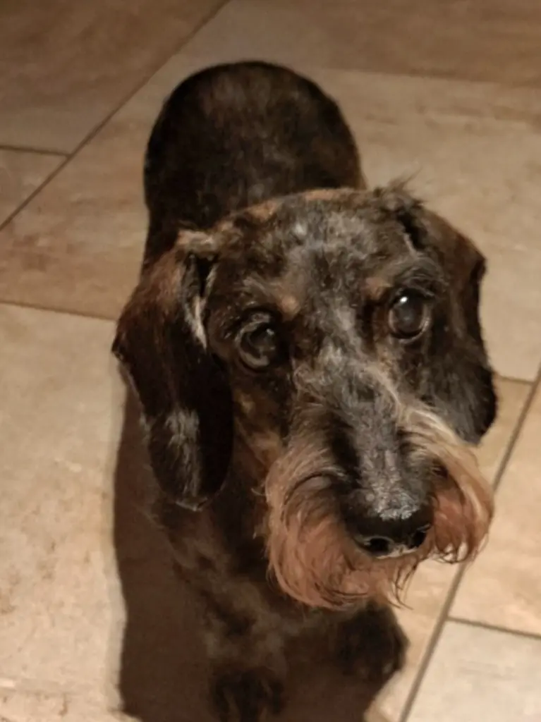 Andachtsbild von Petra Kniesche