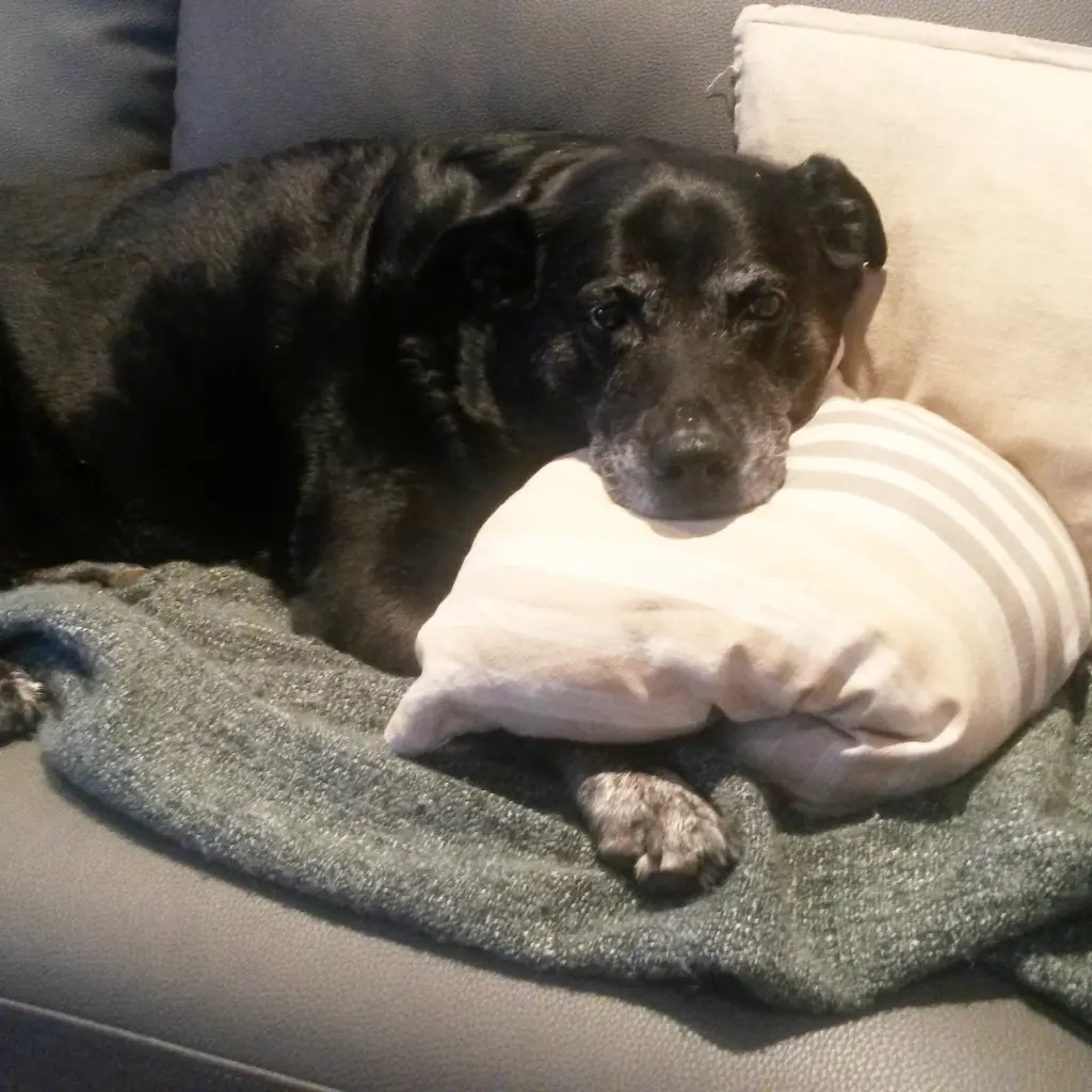 Condolence image of Mandy