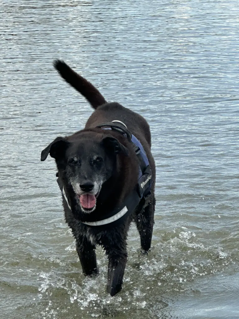 Andachtsbild von Iris Biernath