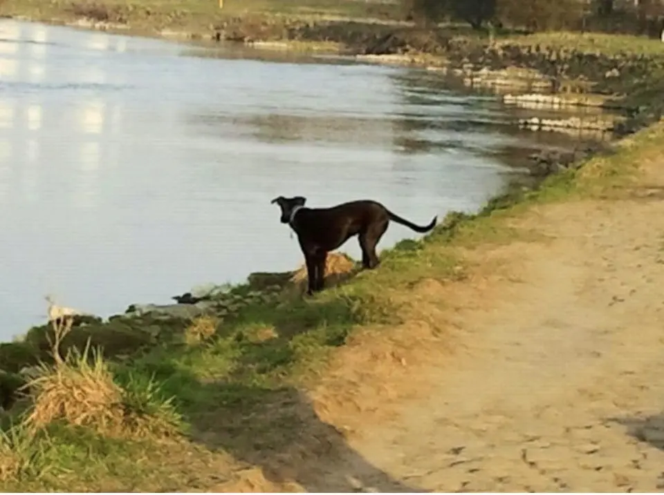 Andachtsbild von Michael