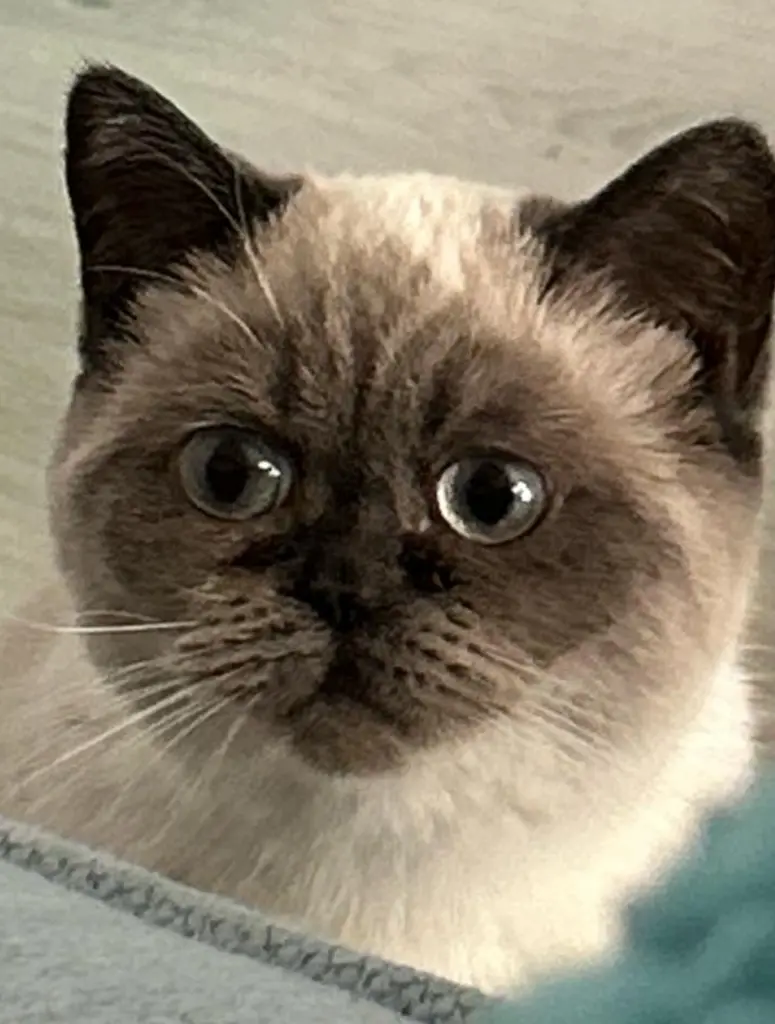 Andachtsbild von Melanie Kemper