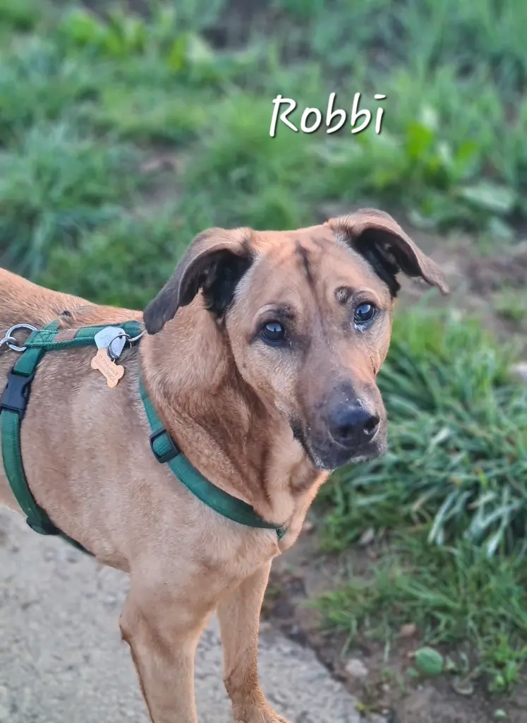 Andachtsbild von Brigitta Maag